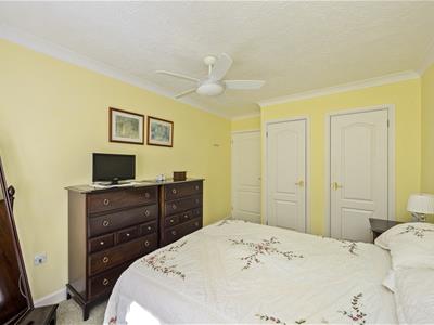 Picture 8